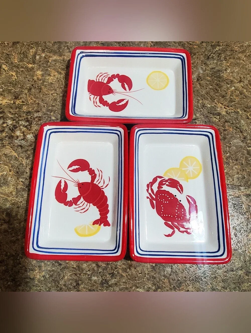 SONOMA LIFE & STYLE COASTAL NAUTICAL 3 PIECE SET NANTUCKET SERVING DISH